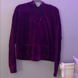 Calvin Klein Velvet sweatshirt (new no tags)